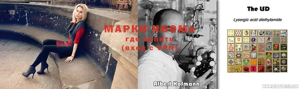 метадон Богданович