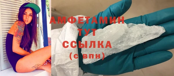 метадон Богданович