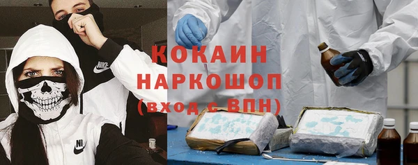 гашик Богородск