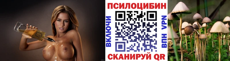 как найти наркотики  Бугуруслан  Псилоцибиновые грибы Psilocybe 